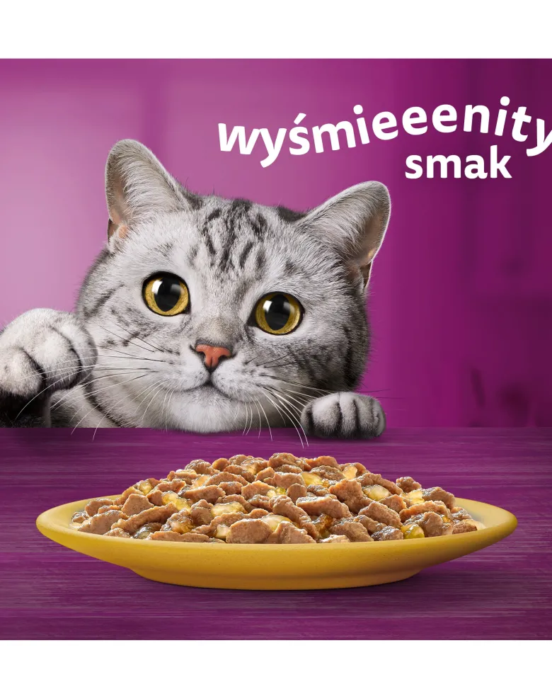 WHISKAS Adult in bustina 85g Alimento umido con pollo in gelatina per gatti adulti