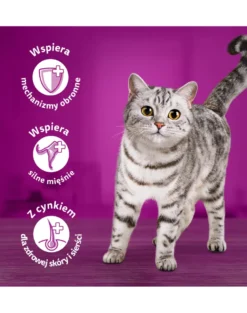 WHISKAS Adult in bustina 28x85g Alimento umido con manzo in salsa per gatti adulti