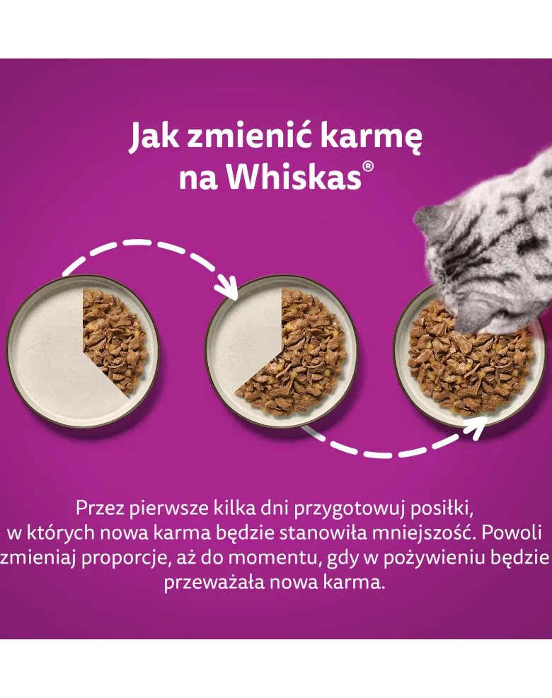 WHISKAS Adult Tasty Mix 12x85g Variazioni cremose con pollo e verdure, agnello e tacchino in salsa