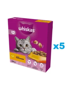 WHISKAS Adult 5x800g Alimento secco completo con delizioso pollo per gatti adulti