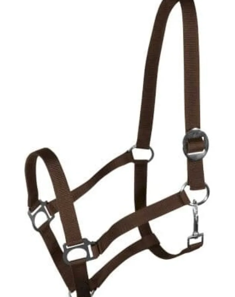 YORK Capestro Harmony marrone PONY